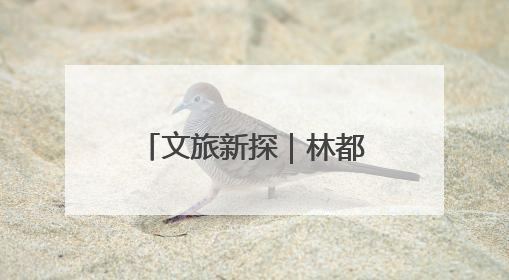 文旅新探｜林都伊春：北纬47度的绿野仙踪