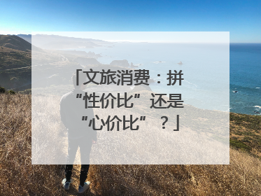 文旅消费：拼“性价比”还是“心价比”？