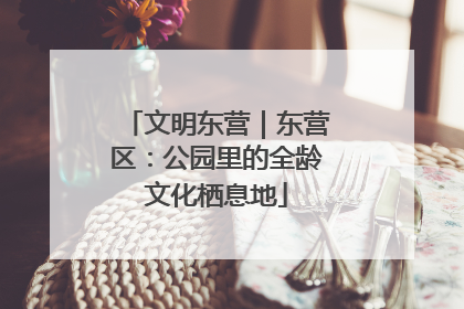 文明东营｜东营区：公园里的全龄文化栖息地