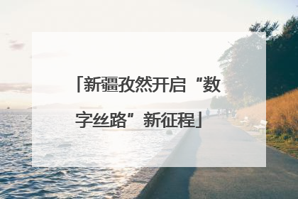 新疆孜然开启“数字丝路”新征程