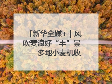 新华全媒+｜风吹麦浪好“丰”景——多地小麦机收一线见闻