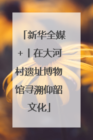 新华全媒+丨在大河村遗址博物馆寻溯仰韶文化