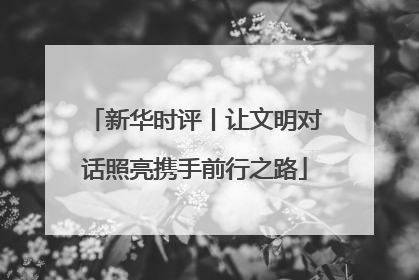 新华时评丨让文明对话照亮携手前行之路