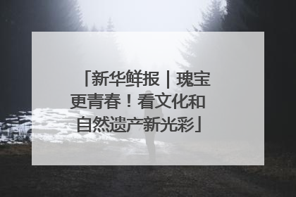 新华鲜报｜瑰宝更青春！看文化和自然遗产新光彩