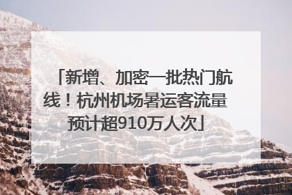 新增、加密一批热门航线！杭州机场暑运客流量预计超910万人次