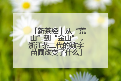 新茶经丨从“荒山”到“金山”，浙江茶二代的数字苗圃改变了什么