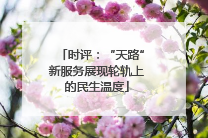 时评：“天路”新服务展现轮轨上的民生温度