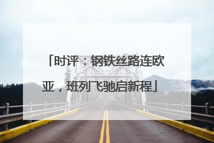 时评：钢铁丝路连欧亚，班列飞驰启新程