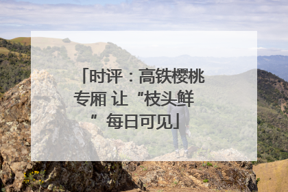 时评：高铁樱桃专厢 让“枝头鲜”每日可见