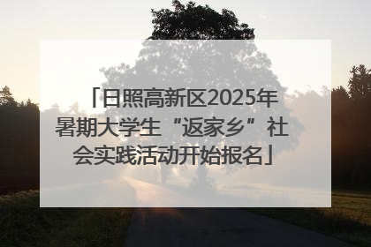 日照高新区2025年暑期大学生“返家乡”社会实践活动开始报名