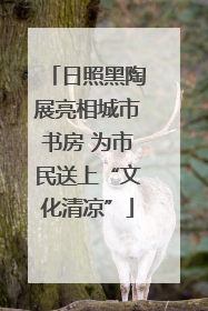 日照黑陶展亮相城市书房 为市民送上“文化清凉”