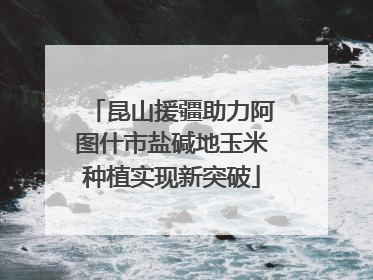 昆山援疆助力阿图什市盐碱地玉米种植实现新突破