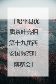 昭平县优质茶叶亮相第十九届西安国际茶叶博览会