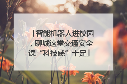 智能机器人进校园，聊城这堂交通安全课“科技感”十足