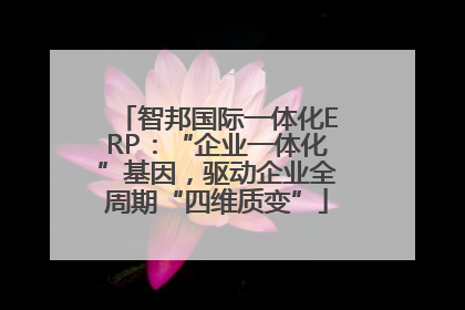 智邦国际一体化ERP：“企业一体化”基因，驱动企业全周期“四维质变”