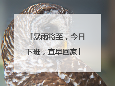 暴雨将至，今日下班，宜早回家