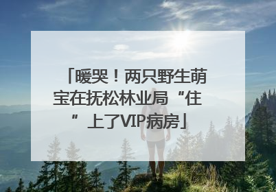 暖哭！两只野生萌宝在抚松林业局“住”上了VIP病房