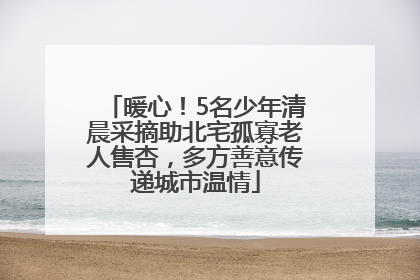暖心！5名少年清晨采摘助北宅孤寡老人售杏，多方善意传递城市温情