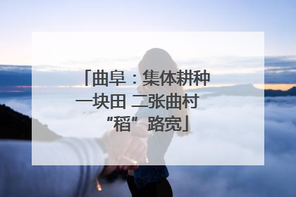 曲阜：集体耕种一块田 二张曲村“稻”路宽