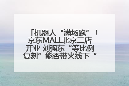 机器人“满场跑”！京东MALL北京二店开业 刘强东“等比例复刻”能否带火线下“618”？