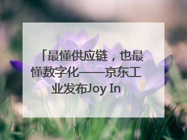 最懂供应链，也最懂数字化——京东工业发布Joy Industrial 重塑工业未来