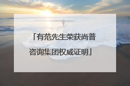 有范先生荣获尚普咨询集团权威证明