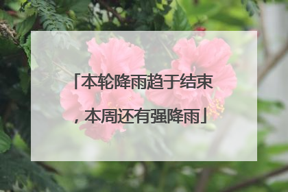 本轮降雨趋于结束，本周还有强降雨