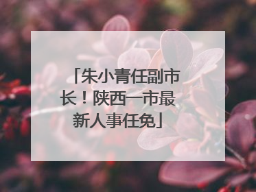 朱小青任副市长！陕西一市最新人事任免