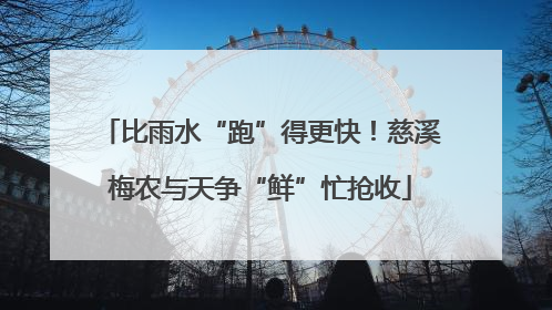 比雨水“跑”得更快！慈溪梅农与天争“鲜”忙抢收