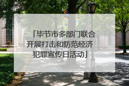 毕节市多部门联合开展打击和防范经济犯罪宣传日活动