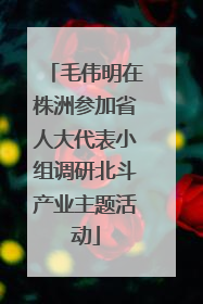 毛伟明在株洲参加省人大代表小组调研北斗产业主题活动