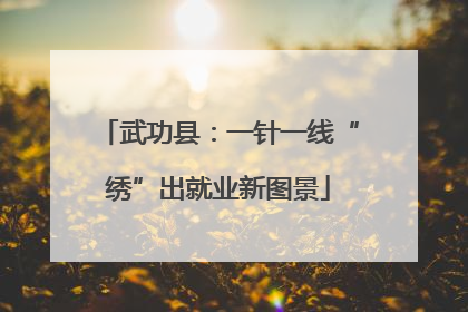 武功县：一针一线“绣”出就业新图景