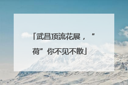 武昌顶流花展，“荷”你不见不散