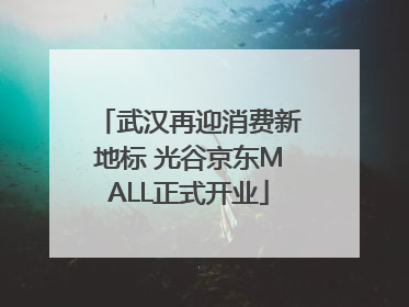 武汉再迎消费新地标 光谷京东MALL正式开业