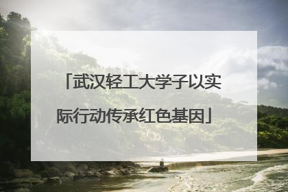 武汉轻工大学子以实际行动传承红色基因