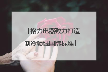 格力电器致力打造制冷领域国际标准