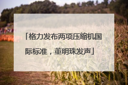 格力发布两项压缩机国际标准，董明珠发声