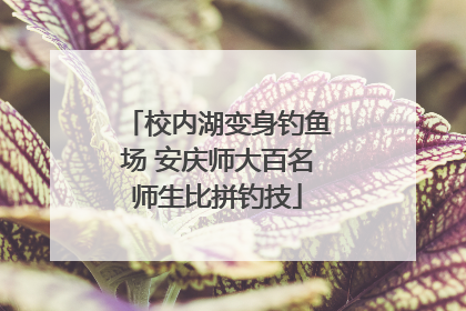 校内湖变身钓鱼场 安庆师大百名师生比拼钓技