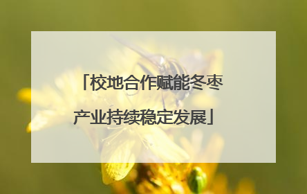校地合作赋能冬枣产业持续稳定发展