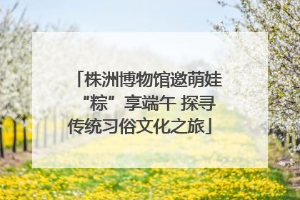 株洲博物馆邀萌娃“粽”享端午 探寻传统习俗文化之旅