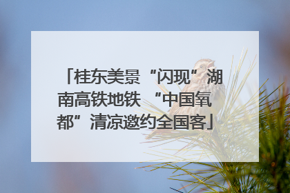 桂东美景“闪现”湖南高铁地铁 “中国氧都”清凉邀约全国客