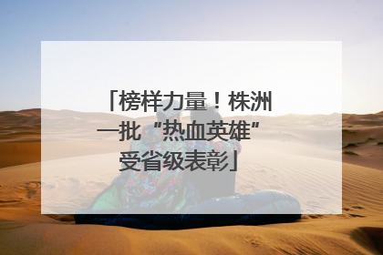榜样力量！株洲一批“热血英雄”受省级表彰