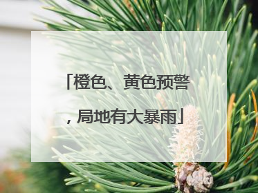 橙色、黄色预警，局地有大暴雨
