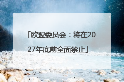 欧盟委员会：将在2027年底前全面禁止