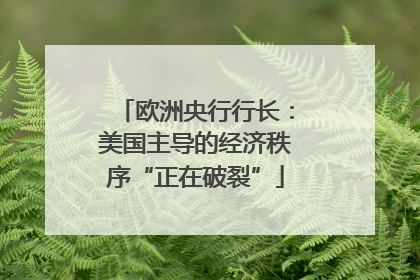 欧洲央行行长：美国主导的经济秩序“正在破裂”