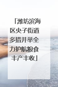 潍坊滨海区央子街道多措并举全力护航粮食丰产丰收