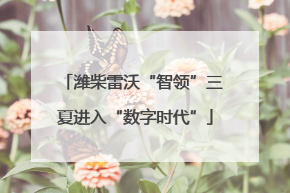 潍柴雷沃“智领”三夏进入“数字时代”