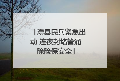 澧县民兵紧急出动 连夜封堵管涌除险保安全
