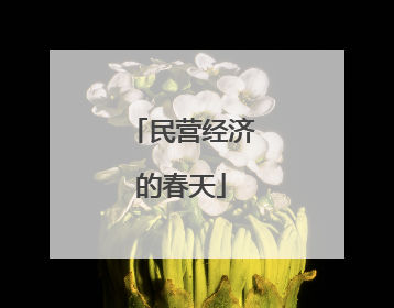 民营经济的春天