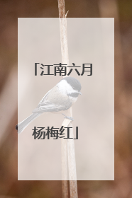 江南六月杨梅红